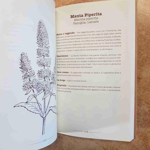 CARLO BOLLINI IL RICETTARIO DELLA SALUTE PIANTE OFFICINALI FITOTERAPIA ERBA VITA