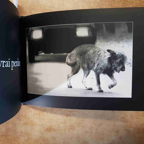 MONDOCANE STORIE METROPOLITANE RACCONTATE DA CANI - ANNA 1996 LEONARDO PERIODICI