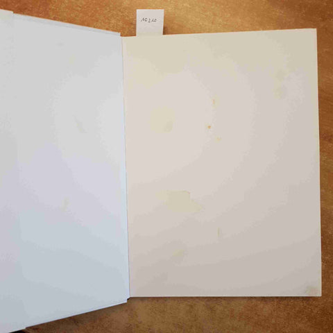 SAVERIO STRATI - MARCELLO BOCCACCI MONOGRAFIA ARTE PITTURA IT-COMM 1989 FIRENZE