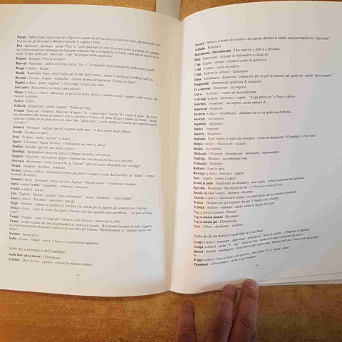 AL MUTAIO VOL. 2 RACHELE BOSSI VOCABOLARIO MOTTESE ITALIANO MOTTA VISCONTI 2000