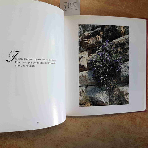 MARIA ELENA CORTESI - GRANELLI DI SENAPA PENSIERI EDITRICE VELAR 1998 FOTOGRAFIE