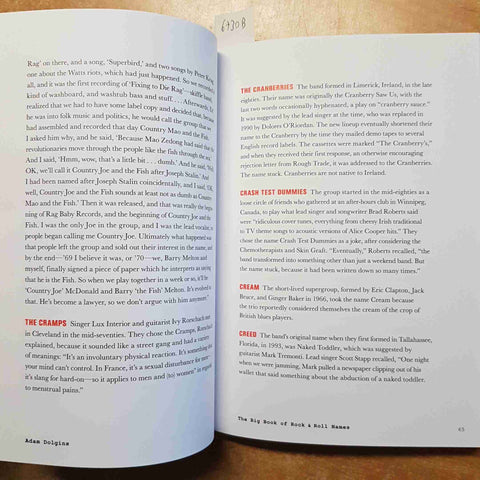 ADAM DOLGINS - THE BIG BOOK OF ROCK & ROLL NAMES 2019 ABRAMS MUSIC ROCK BAND