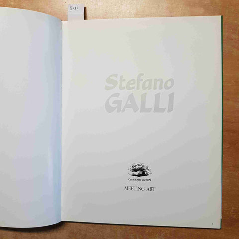 STEFANO GALLI - MEETING ART CATALOGO ARTE 2000 PITTURA CONTEMPORANEA 129 OPERE