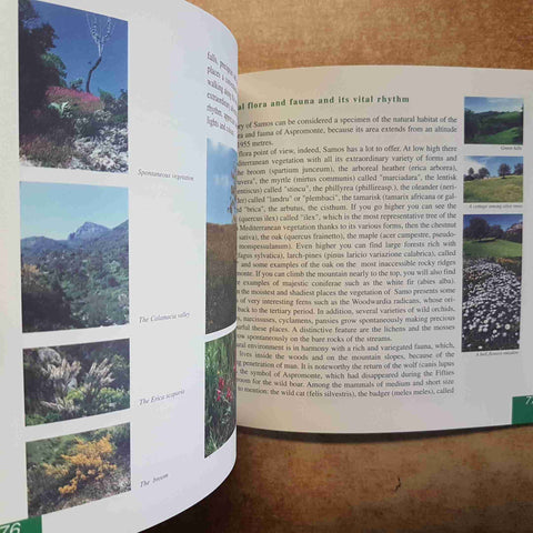 SAMO URBS ANTIQUA ET NOBILIS CALABRIA ASPROMONTE STORIA 2002 TURISMO ILLUSTRATO