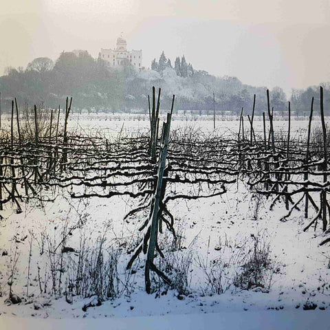 FULVIO ROITER - PADOVA E COLLI EUGANEI 1981 MAGNUS EDIZIONI - FOTOGRAFIA VENETO