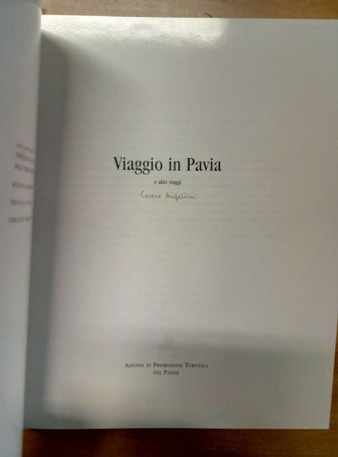 VIAGGIO IN PAVIA E ALTRI VIAGGI - CESARE ANGELINI 2001 TORCHIO DE' RICCI (