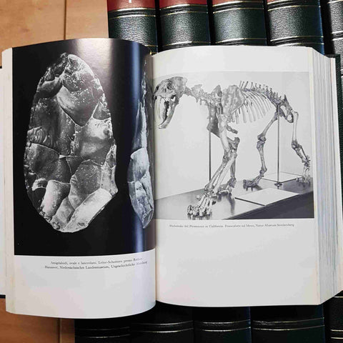 I PROPILEI GRANDE STORIA UNIVERSALE MONDADORI 1980 completa in 11 VOLUMI
