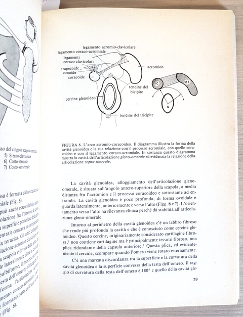 La spalla nell'emiplegia - Rene Cailliet - Marrapese 1984 illustrato (5365