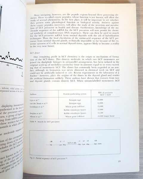 HUMAN CALCITONIN calcitonina umana - A. CANIGGIA - STRESA 1982 - MEDICINA (