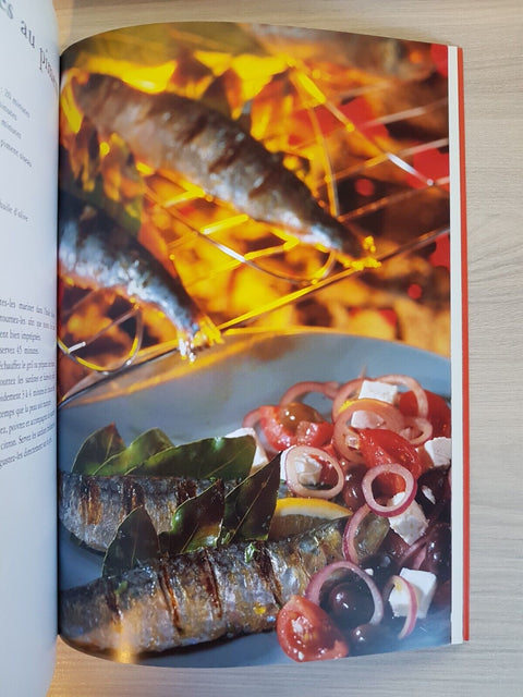 CUISINE AU GRIL 60 recettes au barbecue, braise BALLUREAU 2003 FLAMMARION (