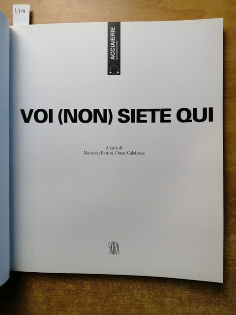 Voi (non) siete qui - Catalogo della mostra - SKIRA - 2006 - arte