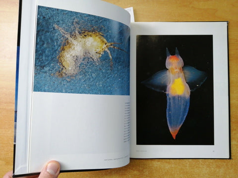 NATIONAL GEOGRAPHIC: I GRANDI FOTOGRAFI Paul Nicklen - 2010 - (6438)