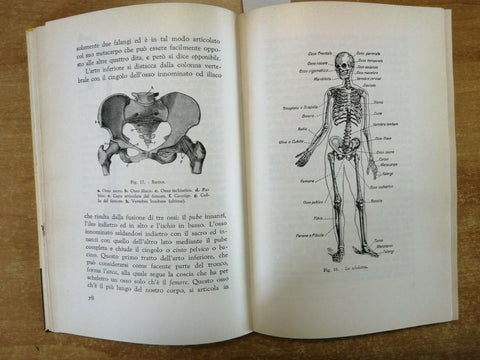 LE MERAVIGLIE DEL CORPO UMANO - ANTONINO ANILE - SEI - 1961 - ILLUSTRATO -(