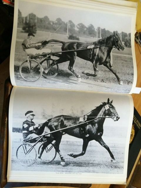 NEL MONDO DEL TROTTO - ENRICO CANTI - SISAR - 1966 - (6290) EQUITAZION