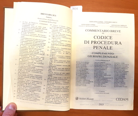 COMMENTARIO breve al Codice di Procedura Penale 2015 + APPENDICE 2016 CEDAM