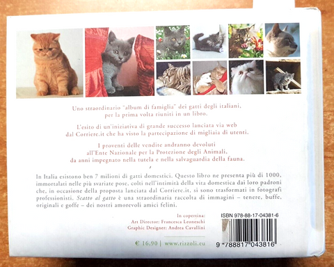 SCATTO AL GATTO oltre 1000 gatti italiani - CORRIERE DELLA SERA/RIZZOLI (48