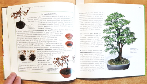 Meravigliosi bonsai - Gribaudo 2005 I manuali Verde Pratico SCHEDE TECNICHE