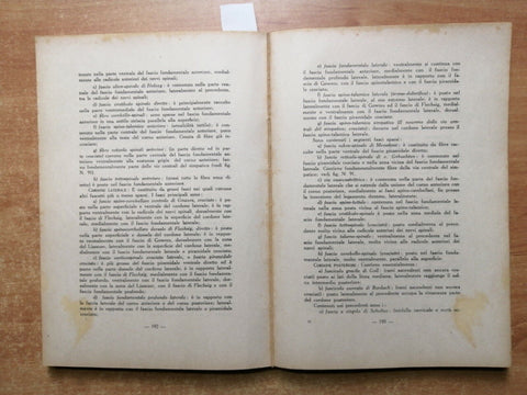 Gomarasca SCHEMI ANATOMO CLINICI DEL SISTEMA NERVOSO testo 1948 CORTICELLI