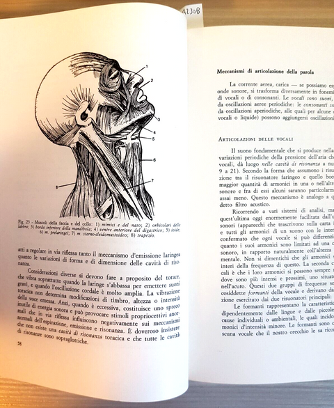 LA COMUNICAZIONE ORALE NORMALE E PATOLOGICA - Renato Segre - 1985 E.M.S. (4