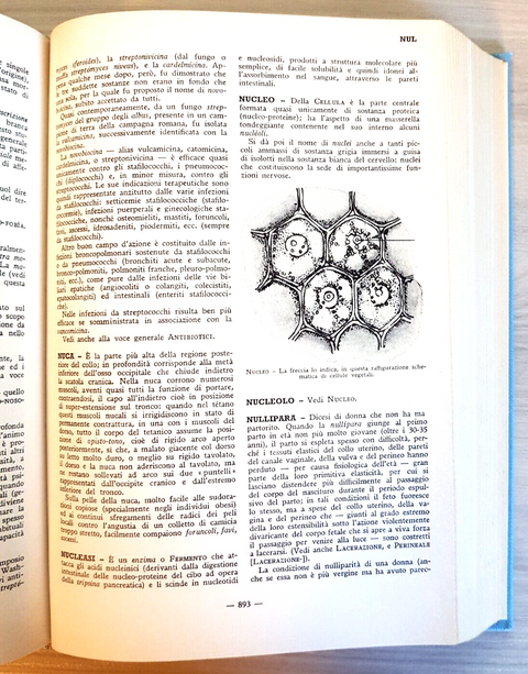 DIZIONARIO MEDICO scientifico-divulgativo - Segatore Luigi 1970 De Agostini