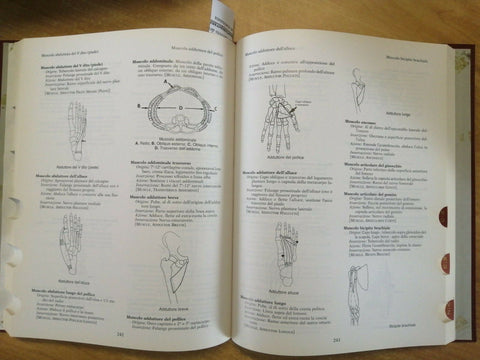 HOPPENFELD ZEIDE - DIZIONARIO ORTOPEDICO - DELFINO EDITORE 2003 ILLUSTRATO(