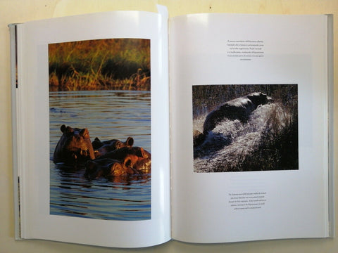 MOREMI EMOZIONI D'AFRICA Africa Calling - FACCIO con cd-rom 1996 ALLEMANDI