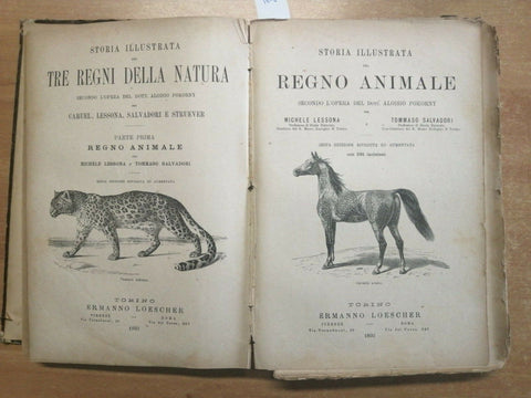 STORIA ILLUSTRATA DEL REGNO VEGETALE ANIMALE MINERALE 3 LIBRI IN 1 LOESCHER