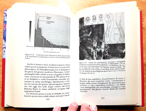 J. William Schopf - LA CULLA DELLA VITA - Mondolibri - 2004 - fossili - (36