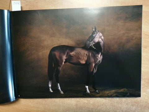 YANN ARTHUS-BERTRAND - CAVALLI - JEAN-LOUIS GOURAUD - 2006 - L'IPPOCAMPO (