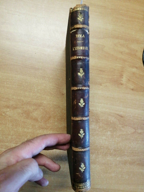 EMILIO ZOLA - L'ASSOMMOIR - 1879 - TREVES - 463 PAGINE - 58 ILLUSTRAZIONI
