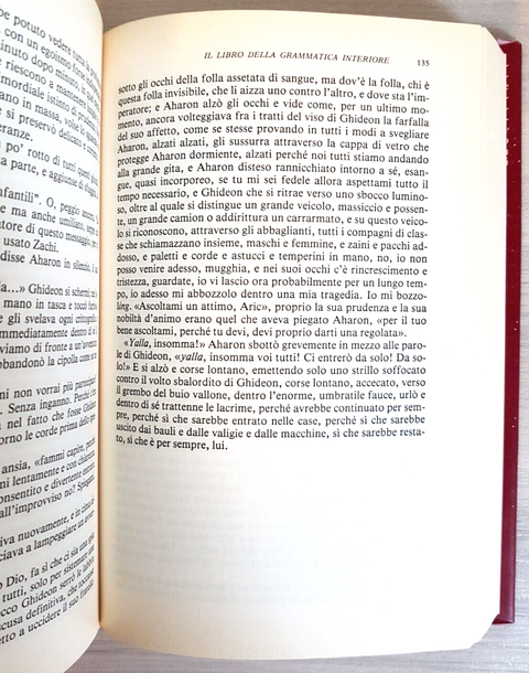 Il libro della grammatica interiore - David Grossman 1ed. MONDADORI 1992 (