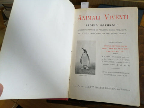 ANIMALI VIVENTI STORIA NATURALE VOLUME 2 uccelli rettili anfibi pesci 1914(