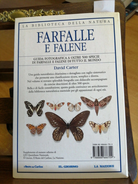 FARFALLE E FALENE GUIDA FOTOGRAFICA 500 SPECIE CARTER (2587g)DORLING K