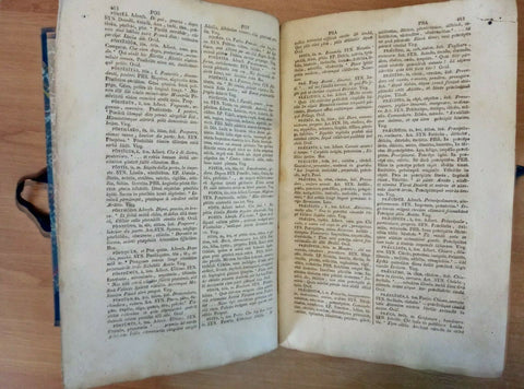 REGIA PARNASSI SEU DICTIONARIUM POETICUM - IGNATII GIOAZZINI 1845 ROMAE (19
