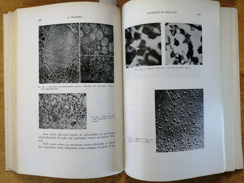 ANTONIO SPANEDDA - ELEMENTI DI VIROLOGIA 1964 OMNIA MEDICA virus tumori (30