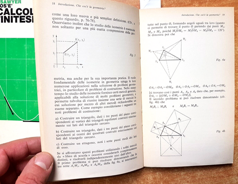 2 VOLL. Che cos' IL CALCOLO INFINITESIMALE + LE ISOMETRIE Zanichelli (274