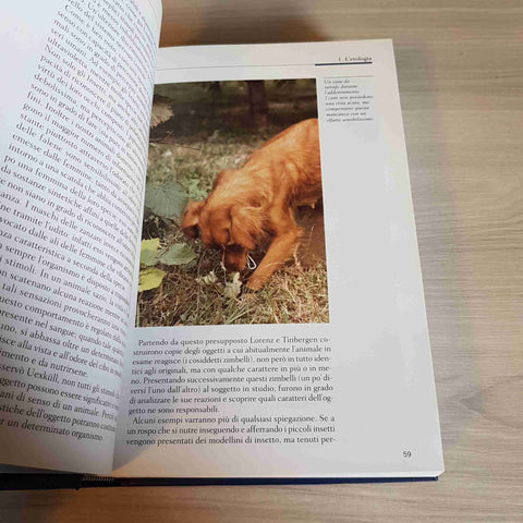 IL COMPORTAMENTO DEGLI ANIMALI 8 - LA SCIENZA - REPUBBLICA - 2005