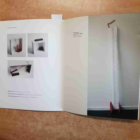 PAOLO BORRELLI ELENA MODORATI micro macro CATALOGO MOSTRA 2005 PALAZZO REZZONICO