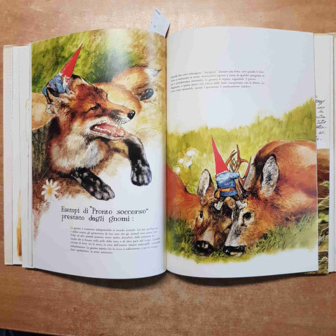 GNOMI poortvliet huygen 1978 RIZZOLI gnomo folletto bosco creature fatate