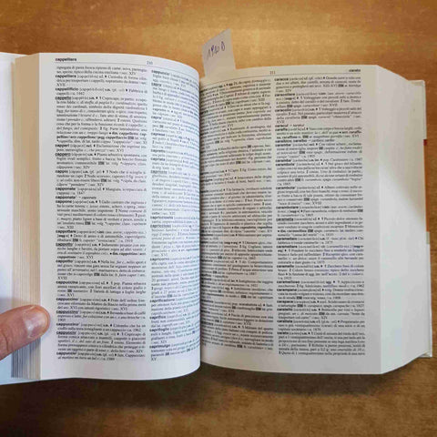 DIZIONARIO ESSENZIALE DELLA LINGUA ITALIANA SABATINI COLETTI sansoni corriere