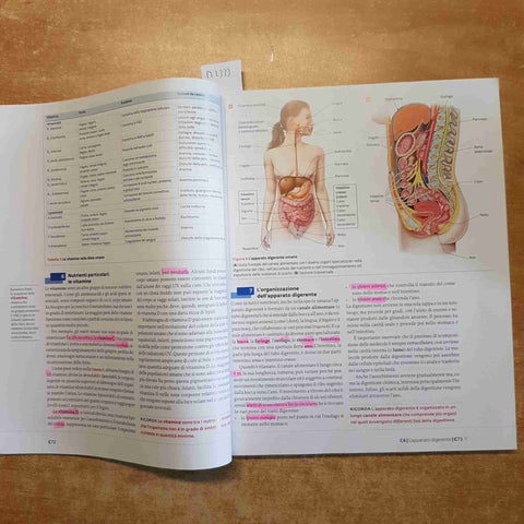 LA NUOVA BIOLOGIA.BLU PLUS il corpo umano ZANICHELLI 2022 SADAVA HILLIS HELLER