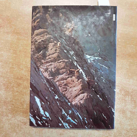 IL GRAN PARADISO Fini Mattana 1977 ZANICHELLI