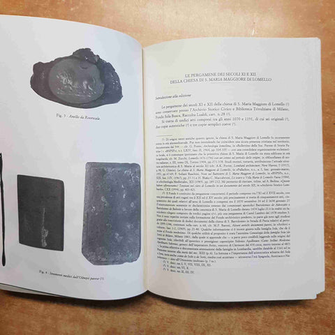BOLLETTINO SOCIETA' PAVESE STORIA PATRIA 1996 Lomello, Menabrea, Luigi Botta