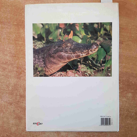 ALLIGATORI E COCCODRILLI animali intorno a noi  LEONARD LEE RUE III 1994 EDICART