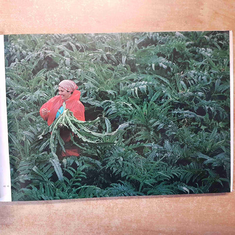 FULVIO ROITER autografato!!! LAGUNA 1978 MAGNUS cavallino grassabo doga figheri