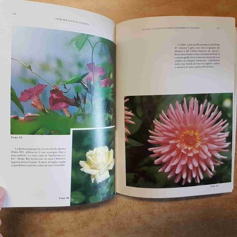 FIORI PER TUTTE LE STAGIONI ALBERI, ARBUSTI E RAMPICANTI - Cox 1994 MELITA