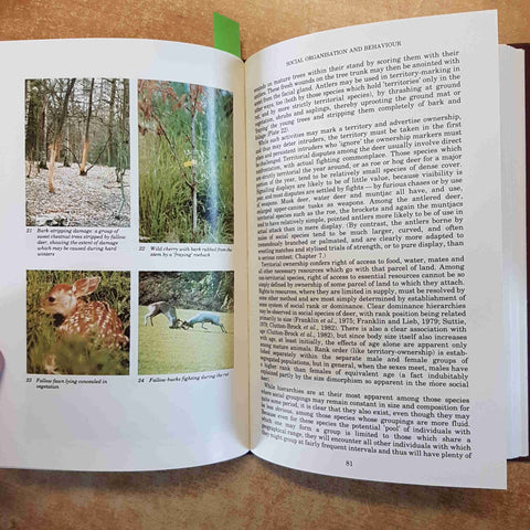 THE NATURAL HISTORY OF DEER RORY PUTMAN 1988 CHRISTOPHER HELM