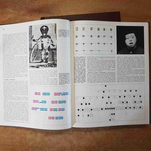 SCIENZE BIOLOGICHE - MEDICINA E UOMO 2 volumi DE AGOSTINI 1976
