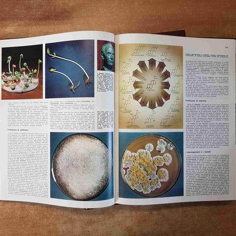 SCIENZE BIOLOGICHE - BIOLOGIA - 2 volumi DE AGOSTINI 1973