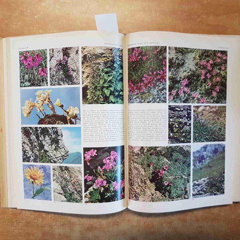 LA FLORA conosci l'Italia VOLUME 2 TOURING CLUB 1958